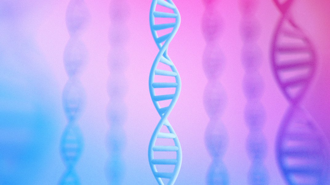 Genome
